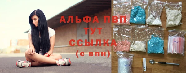 спиды Нея