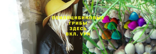 спиды Нея