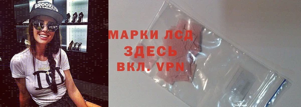 спиды Нея