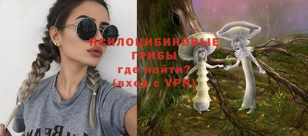 спиды Нея